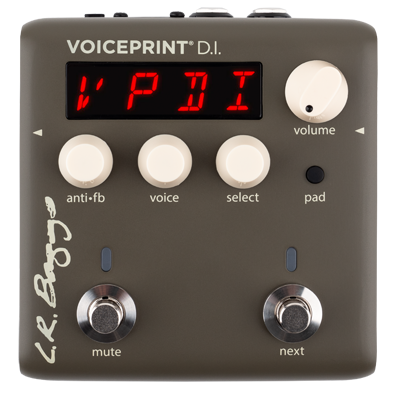DI Pedal - L.R. Baggs Voiceprint DI