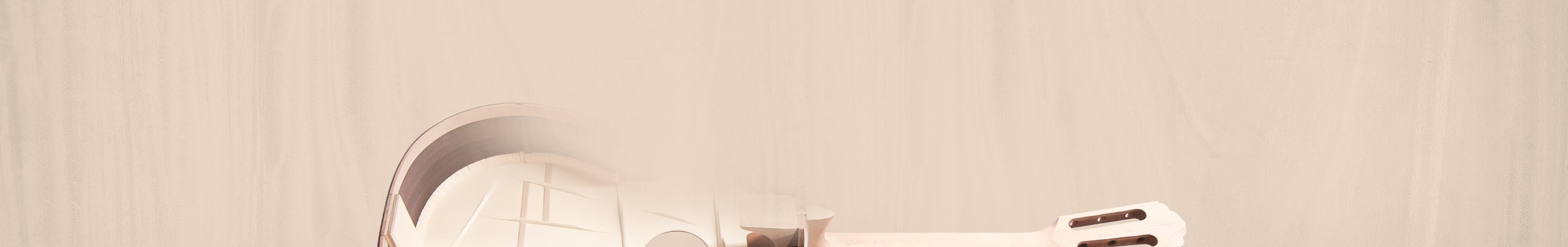 kategorieheader-gitarrenbau