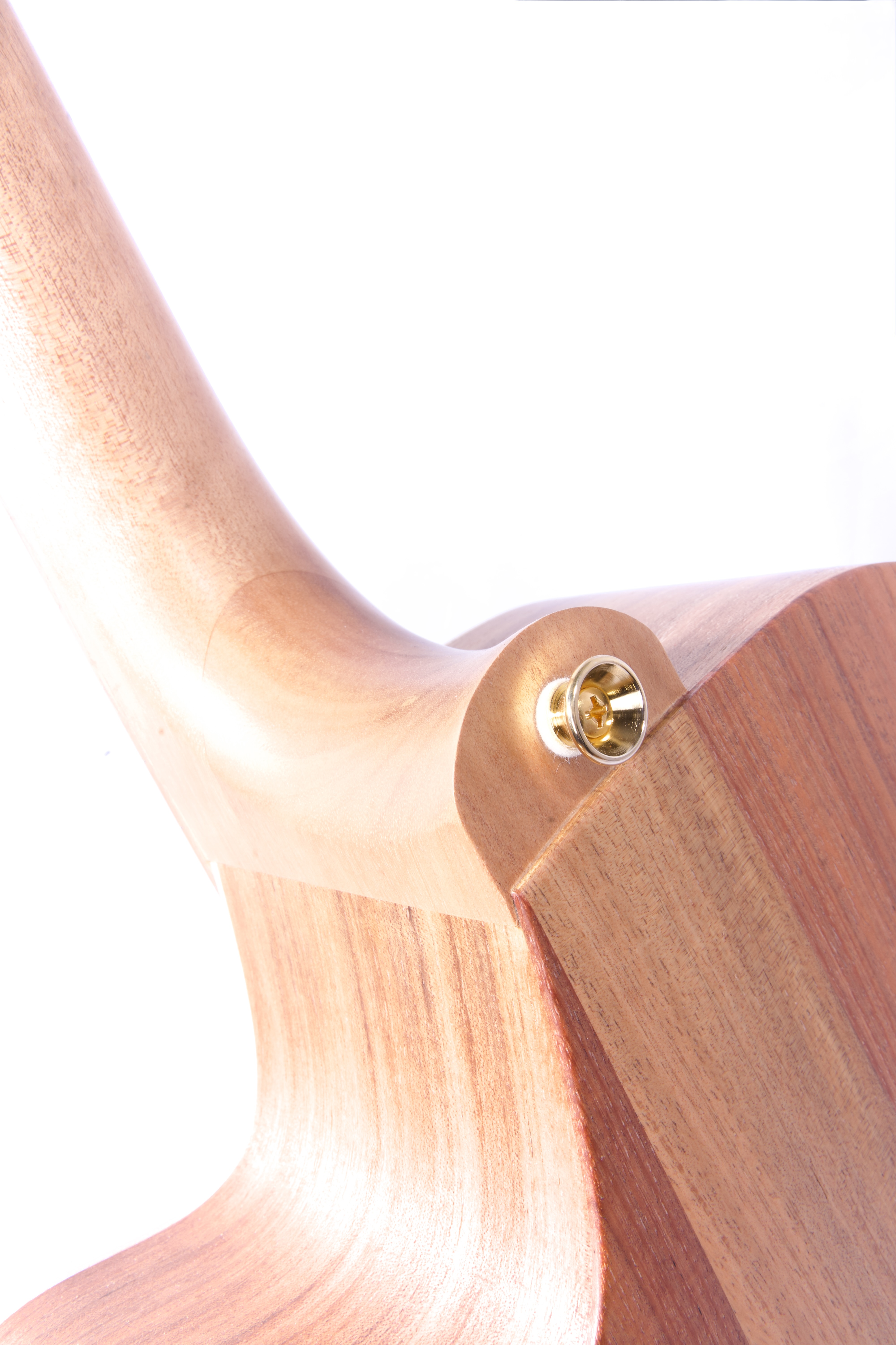 Westerngitarre - Cole Clark FL2EC BLBL