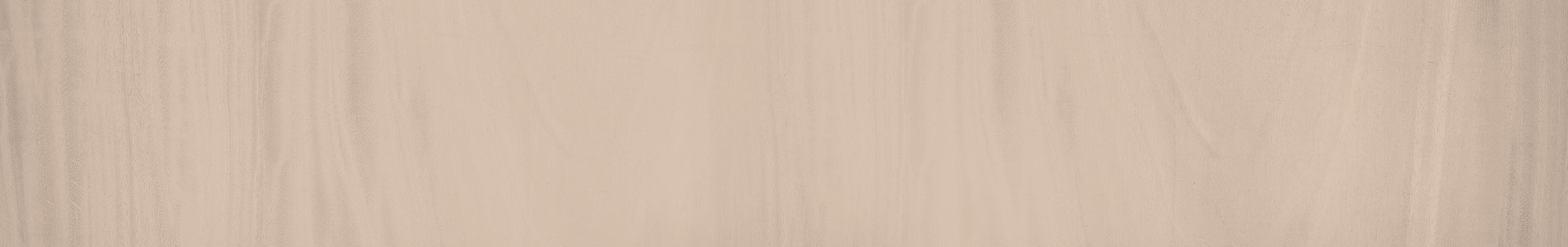 kategorieheader-allgemein2