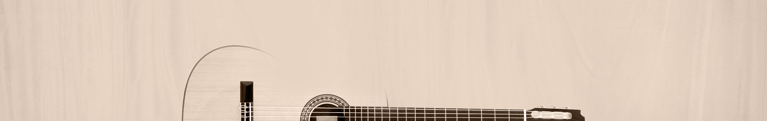 kategorieheader-konzert