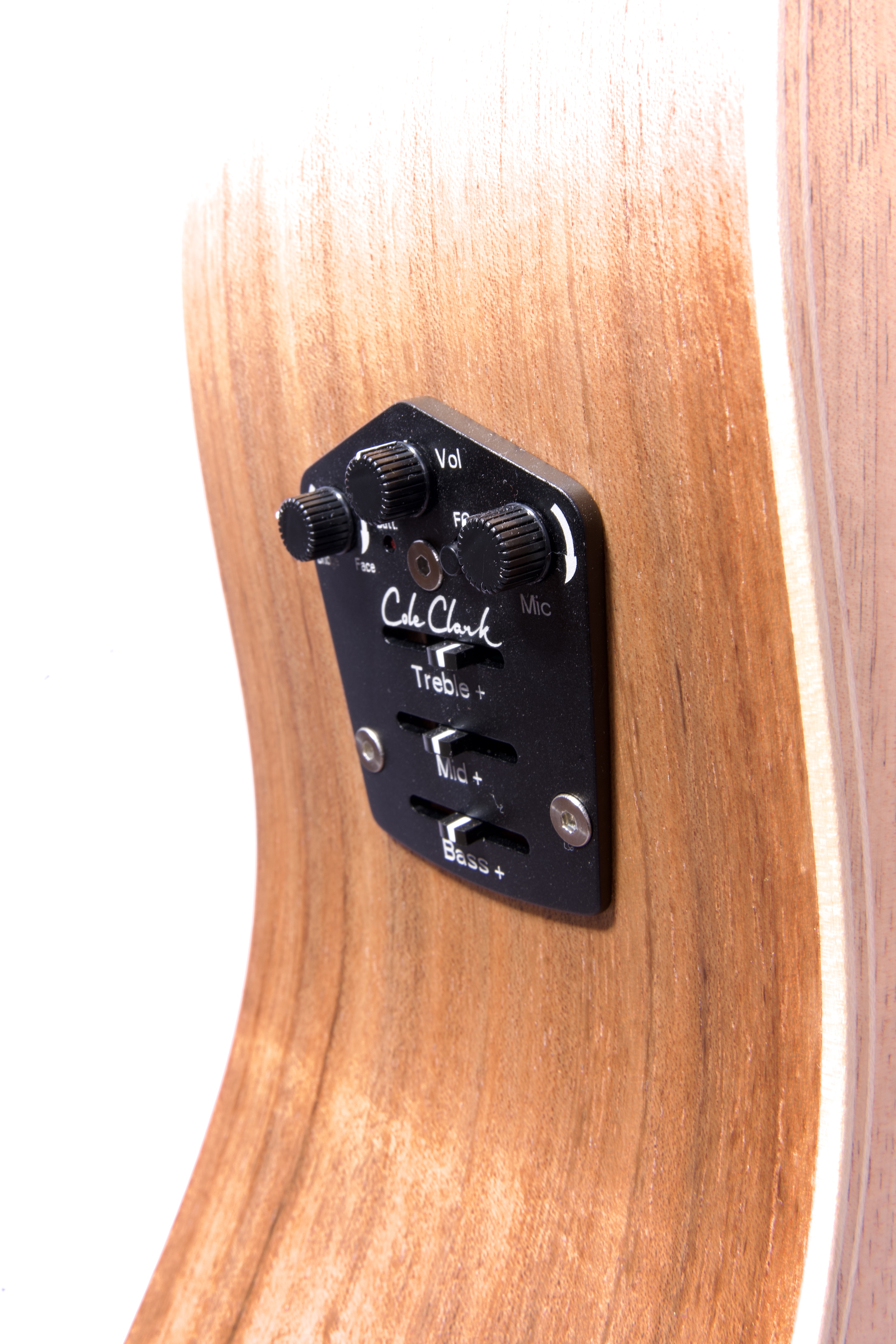 Westerngitarre - Cole Clark FL2EC BLBL