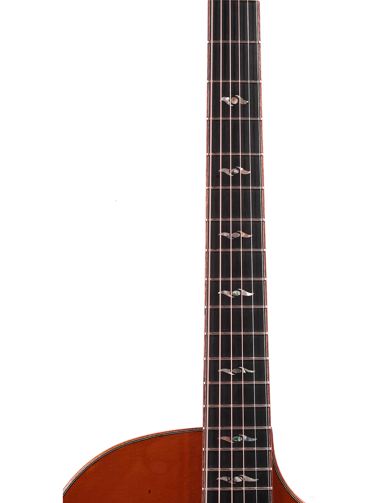SW10571-07